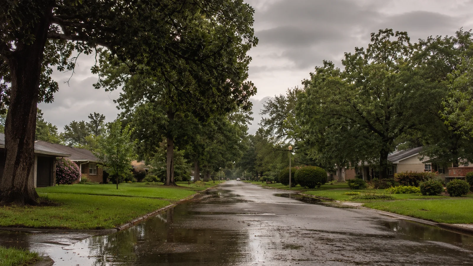 A quiet Southern residential street