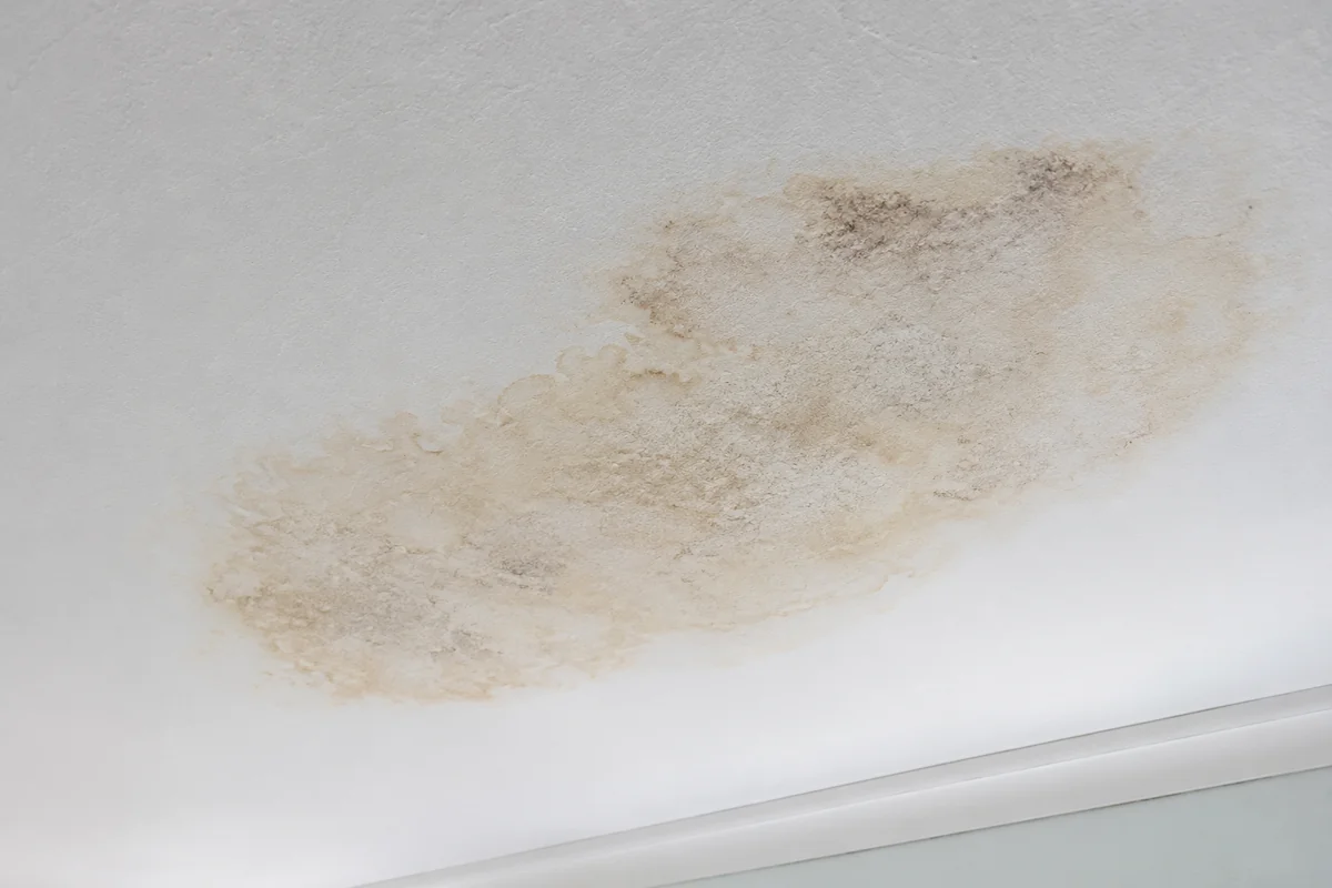 Moisture damage in back-of-house